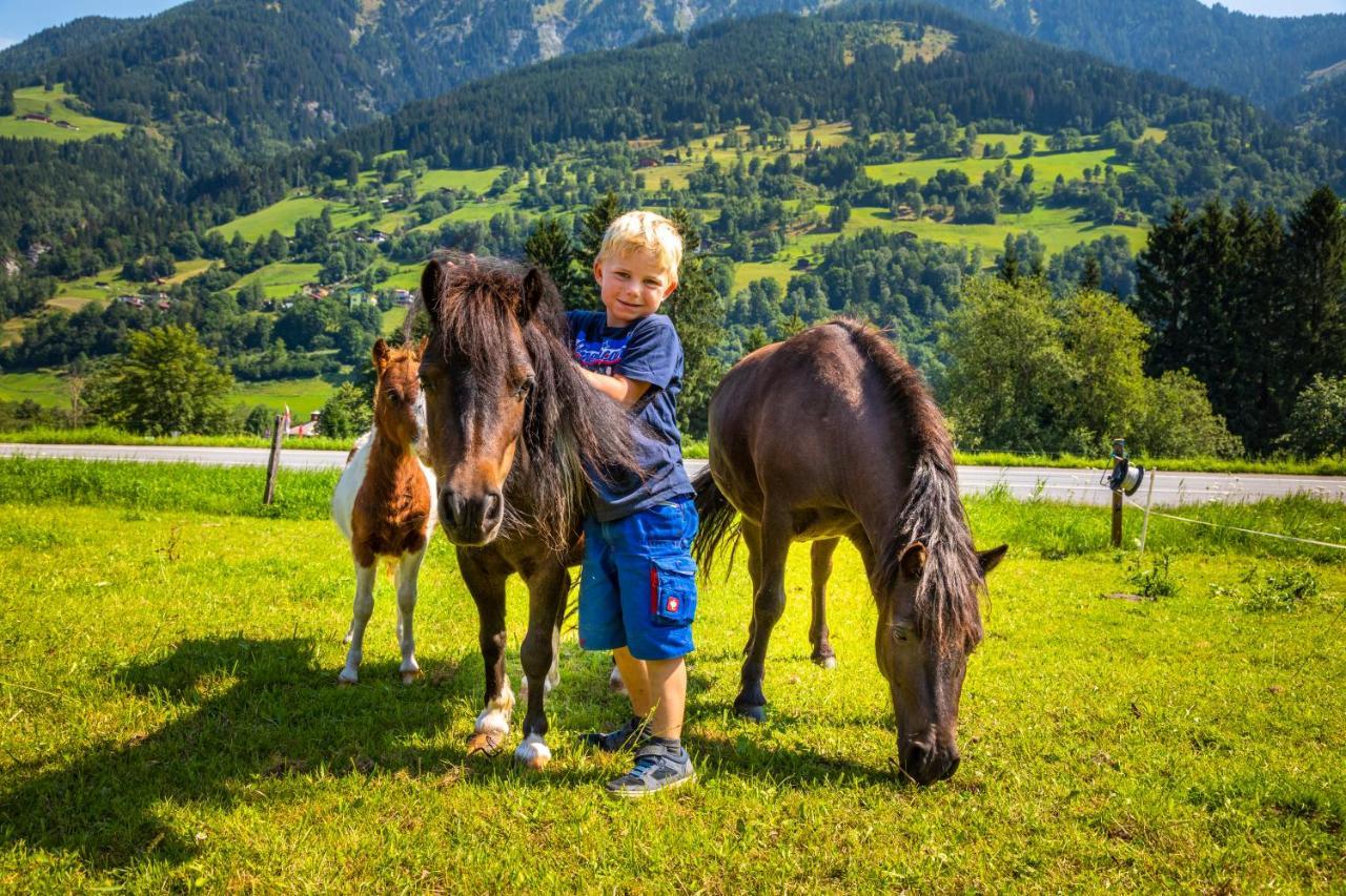 Bio Bauernhof Schweizerhof Villa Bad Hofgastein Bagian luar foto