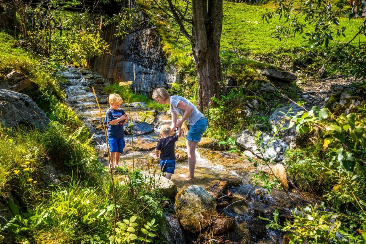 Bio Bauernhof Schweizerhof Villa Bad Hofgastein Bagian luar foto