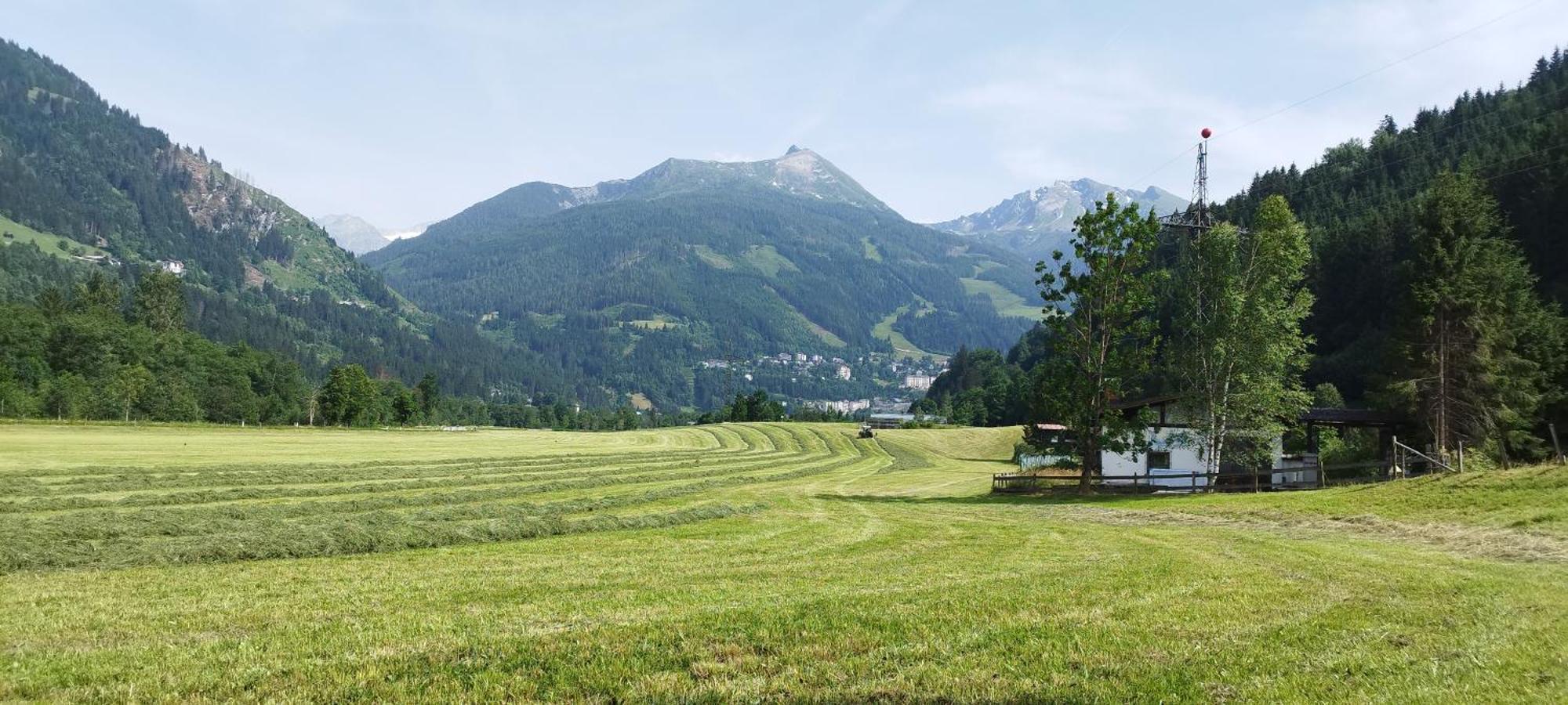 Bio Bauernhof Schweizerhof Villa Bad Hofgastein Bagian luar foto